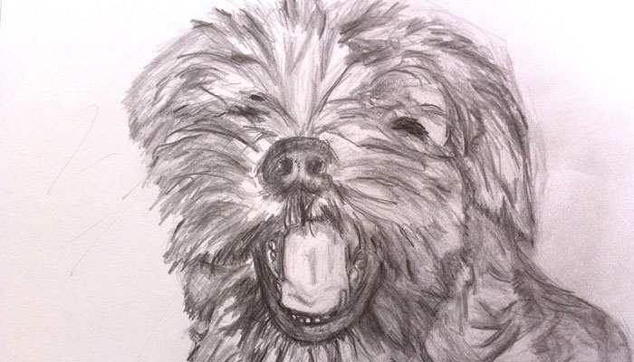 London: The Dog